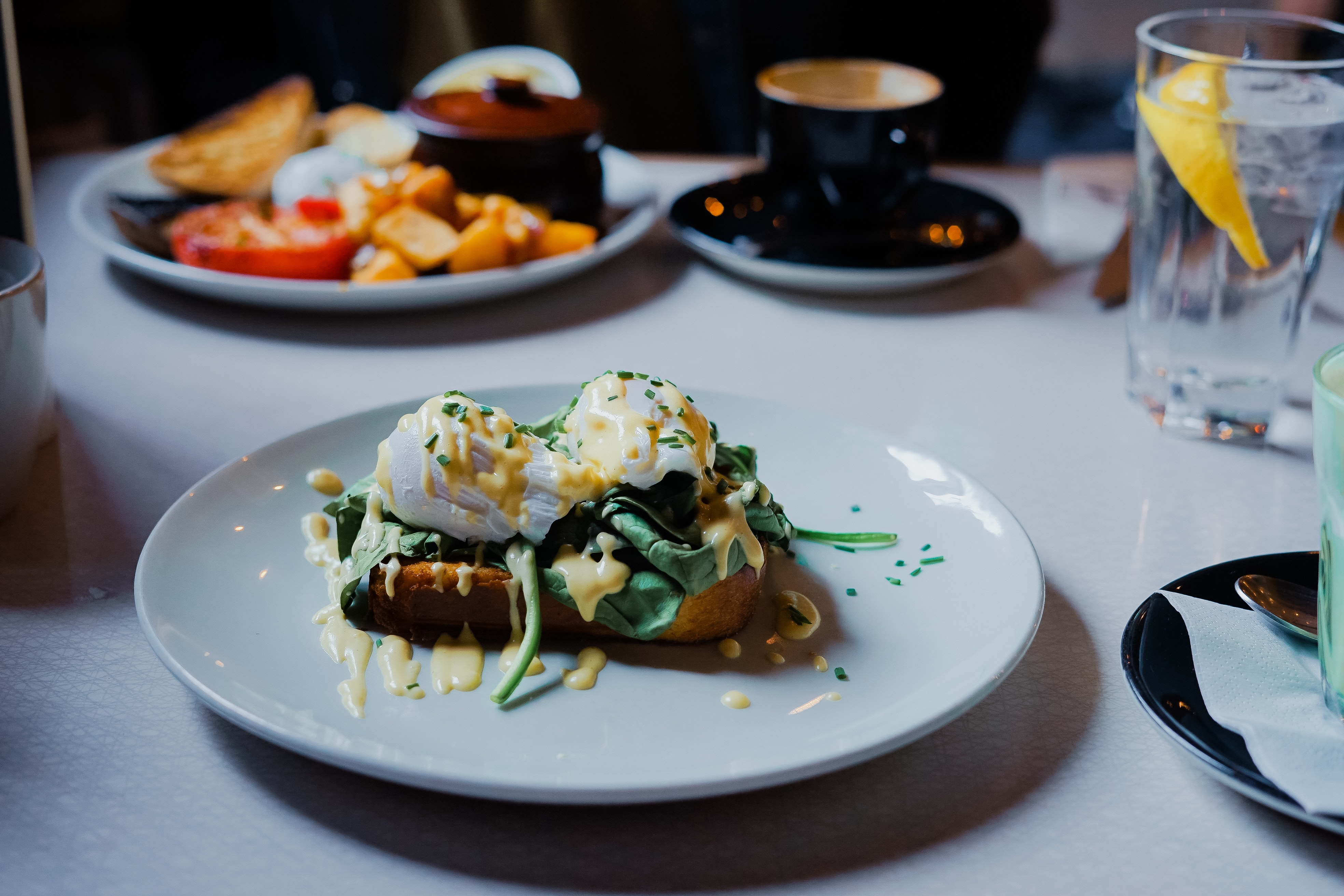 Plat grastronomique dans une assiette blanche